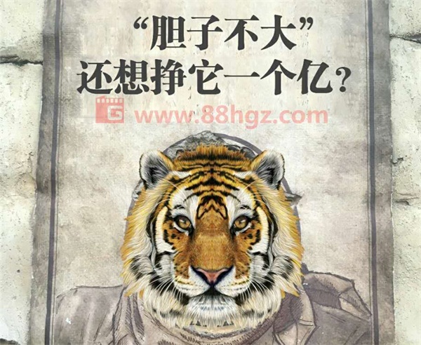 還能更高嗎？與迪瑪希共鳴的，是我們追隨企業(yè)宣傳片的信仰